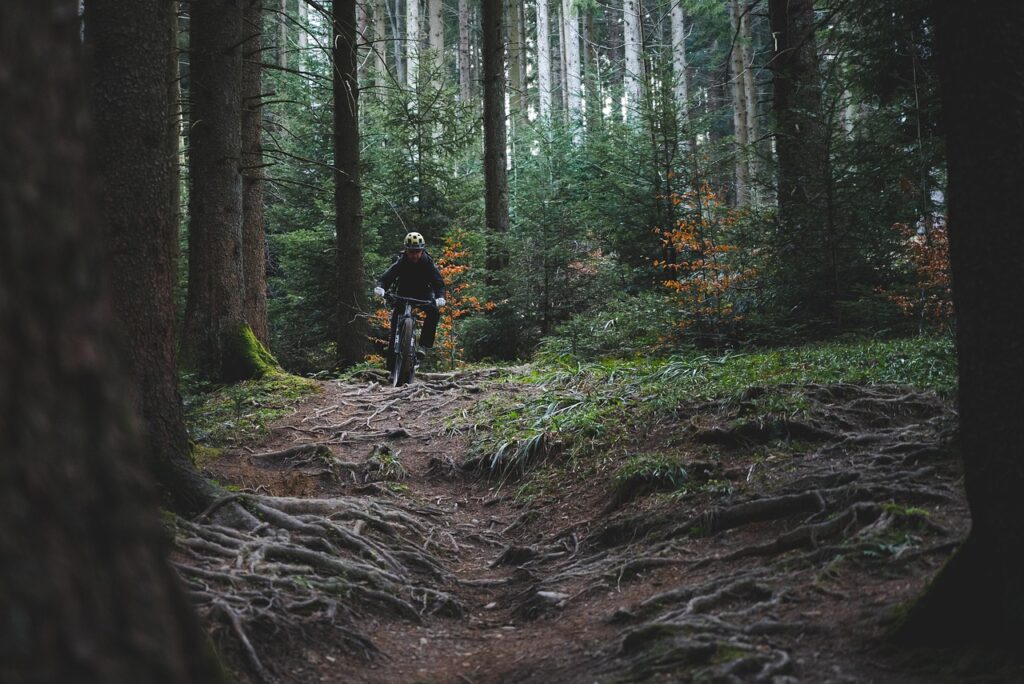 trail riding, trail cycling, forest, woods, nature, bike ride, mountain biking, trail, mountain bike, sports, mountain biking, mountain biking, mountain biking, mountain biking, mountain biking, mountain bike, mountain bike, mountain bike, mountain bike